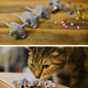 Image for article titled Cat Cosplay is the New Human Cosplay